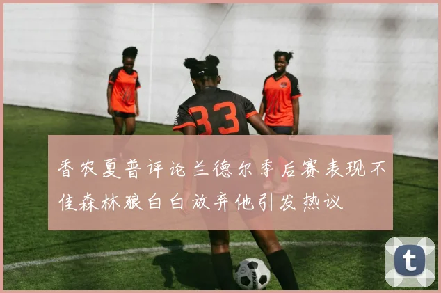 香农夏普评论兰德尔季后赛表现不佳森林狼白白放弃他引发热议